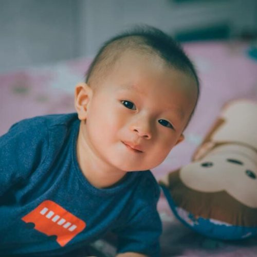 Alternatives for infertility in China: surrogacy or adoption