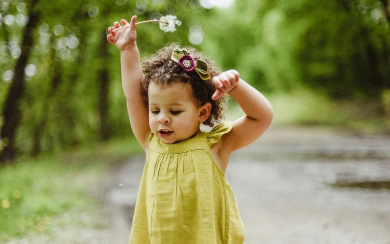 Factors of surrogacy and genetic link in New Zeland: key insights